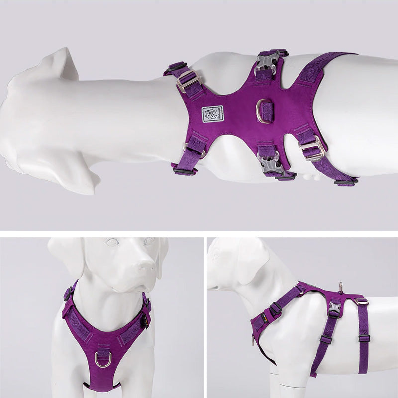 Escape Proof Dog Harness Double-H Waterproof