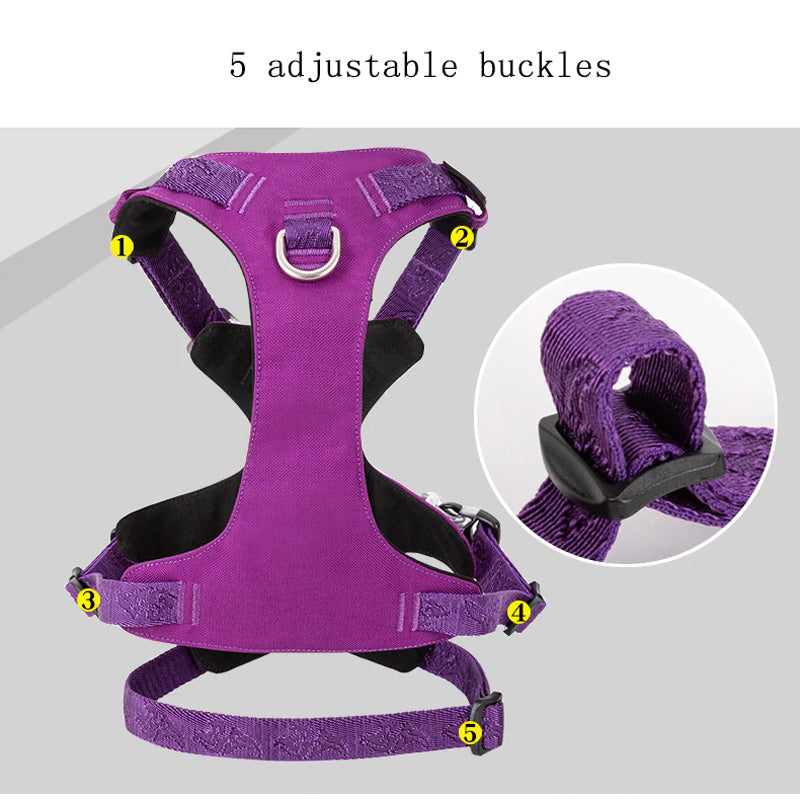 Escape Proof Dog Harness Double-H Waterproof