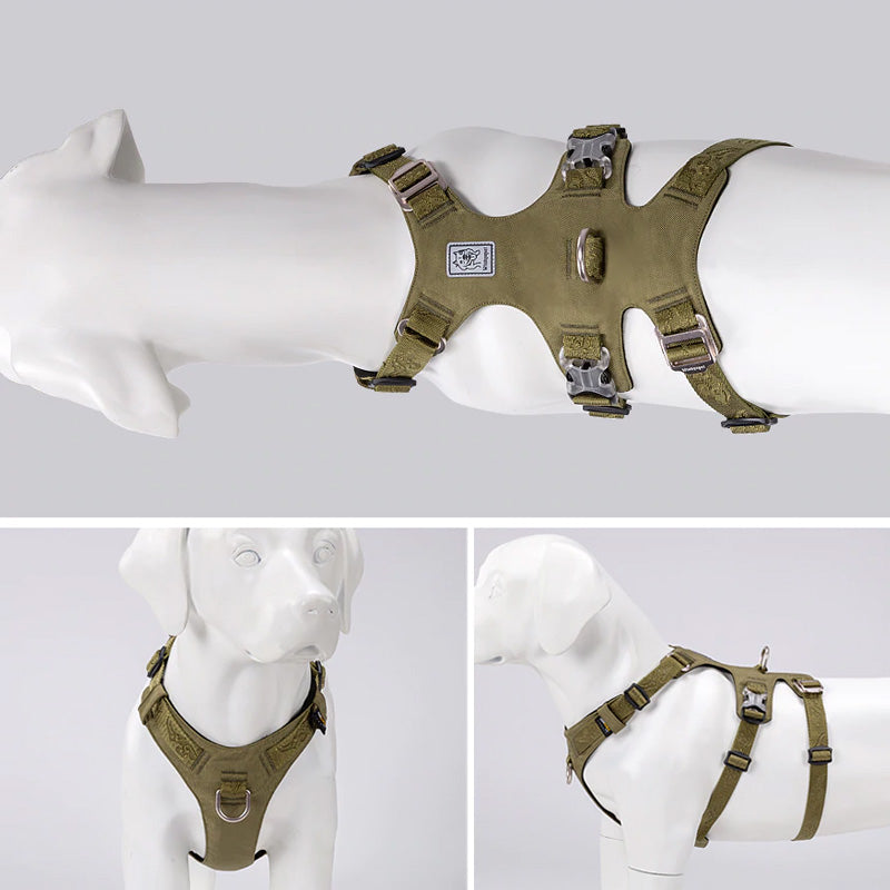 Escape Proof Dog Harness Double-H Waterproof