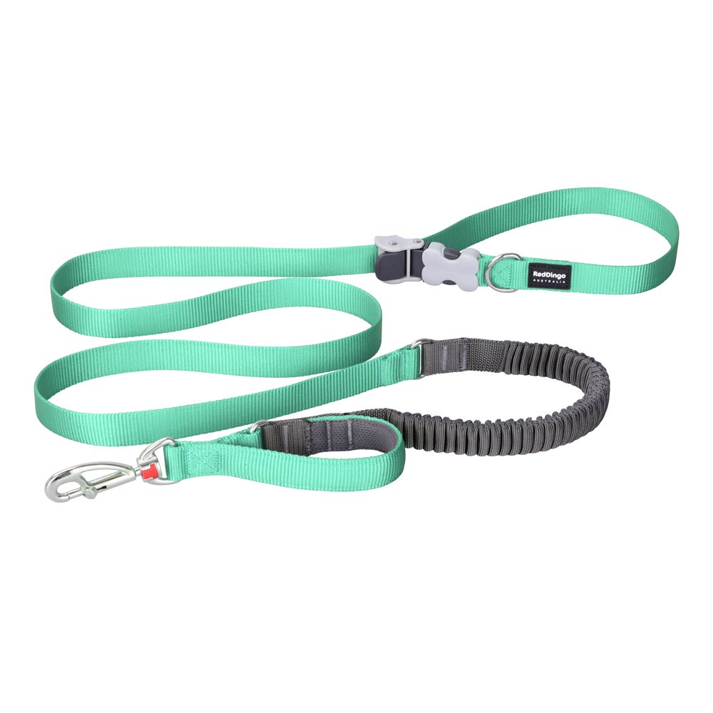 Bungee Hands-Free SuperLead