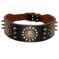 Casper Wide Studded Dog Collar Genuine Leather