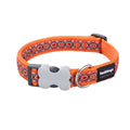 Dog Collar Snake Eyes Orange