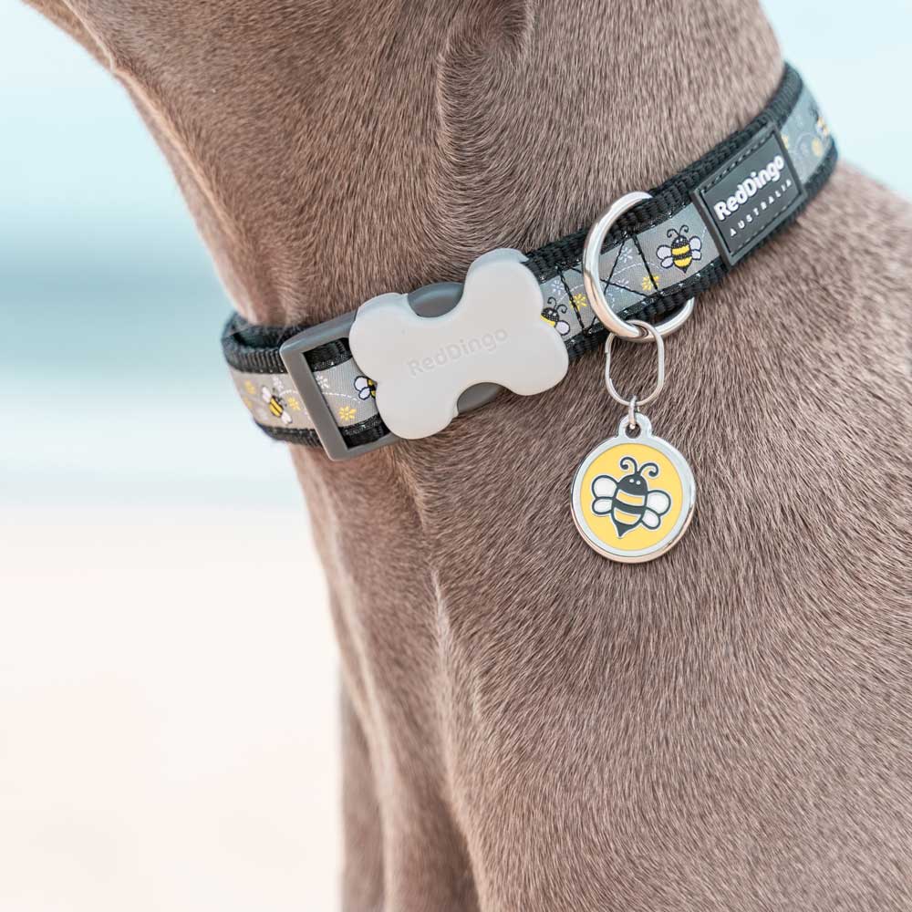 Dog Collar Bumble Bee Black