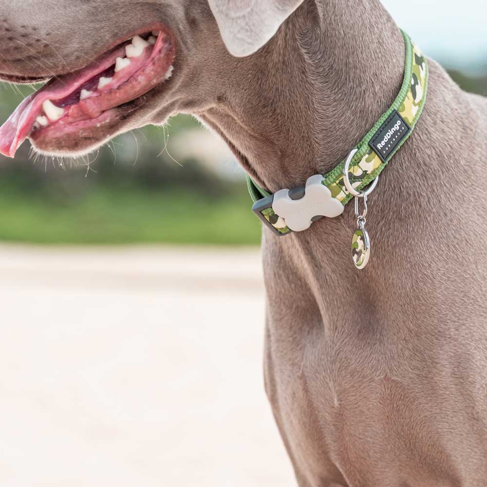 Dog Collar Camouflage Green