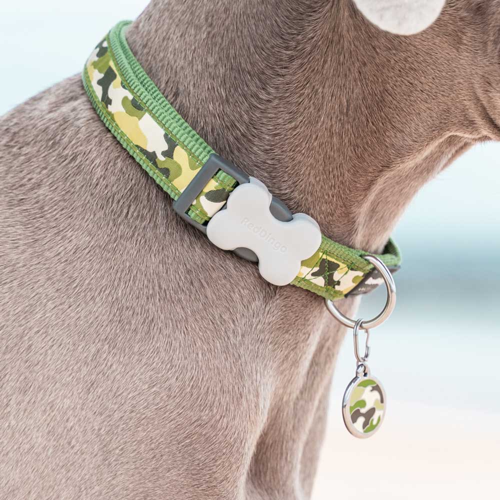 Dog Collar Camouflage Green