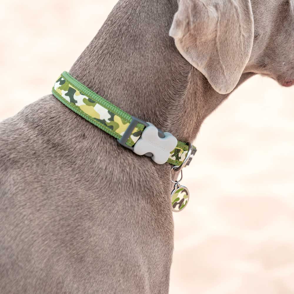 Dog Collar Camouflage Green