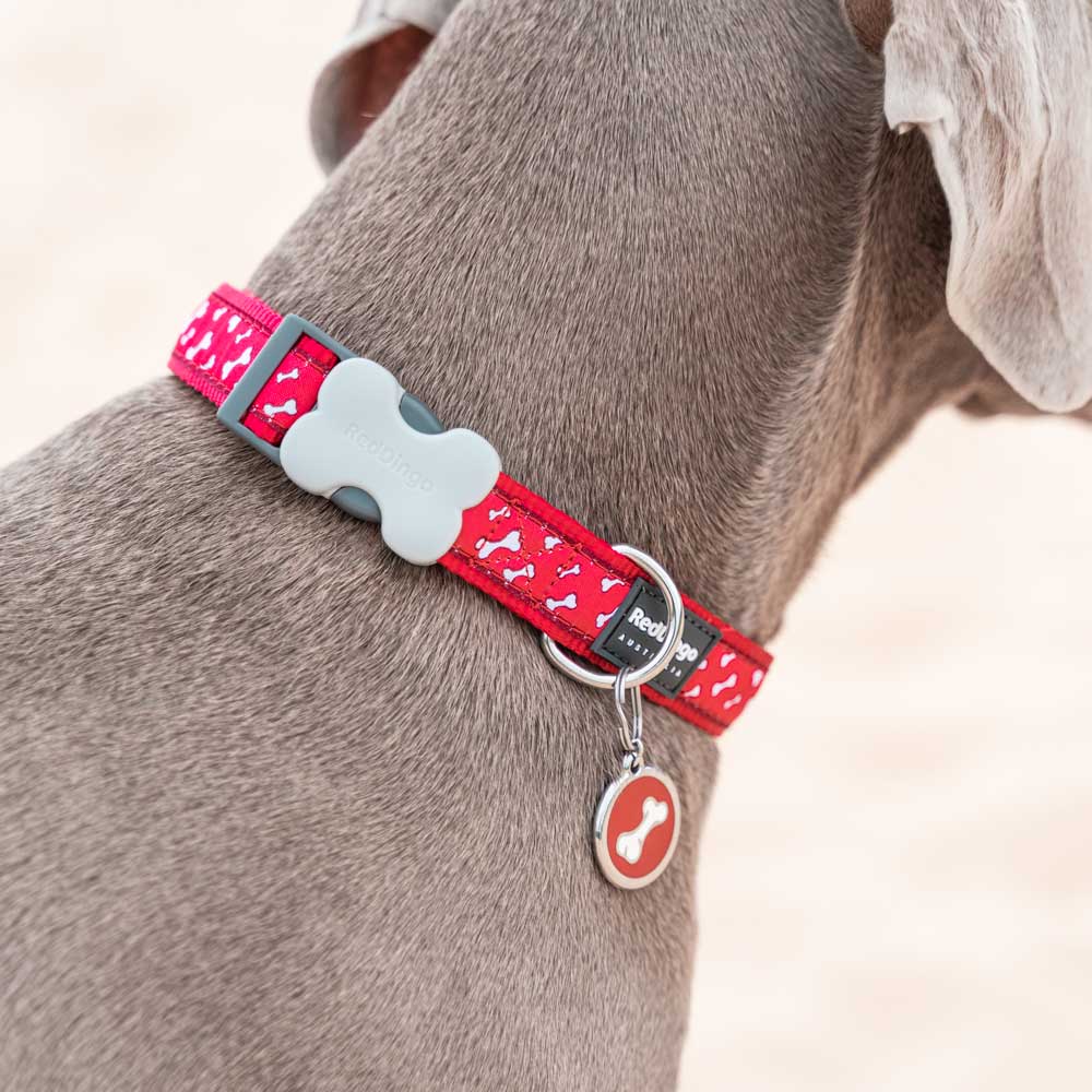 Dog Collar Flying Bones Red