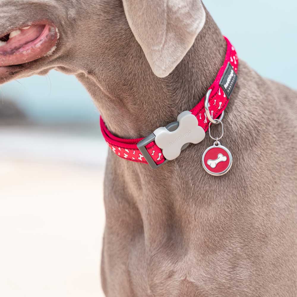 Dog Collar Flying Bones Red