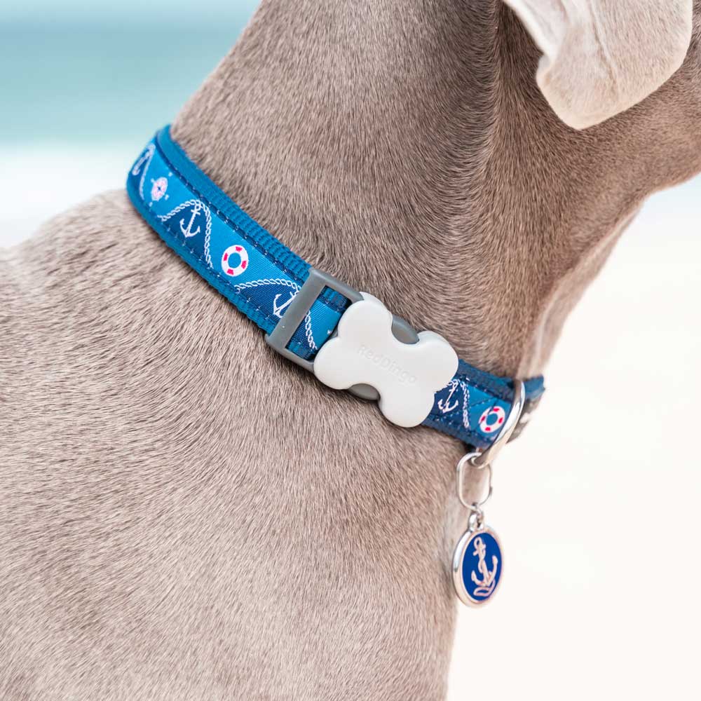 Dog Collar Nautical Navy