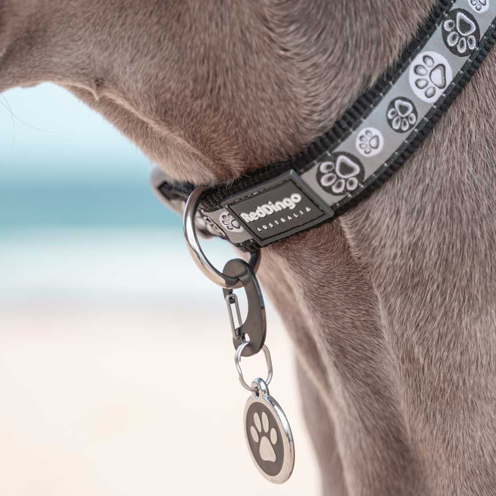 Dog Collar Paw Impressions Black