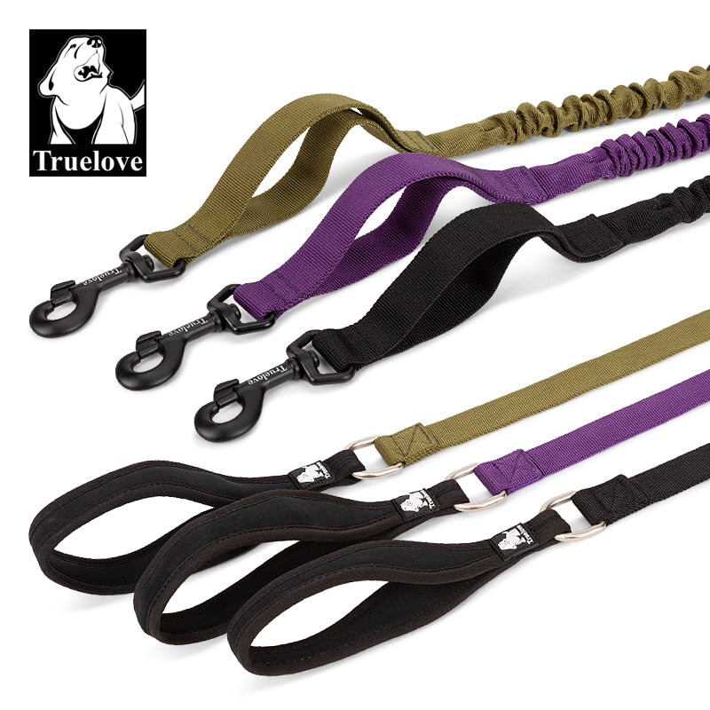 Bungee Dog Leash With Soft Padded Handle