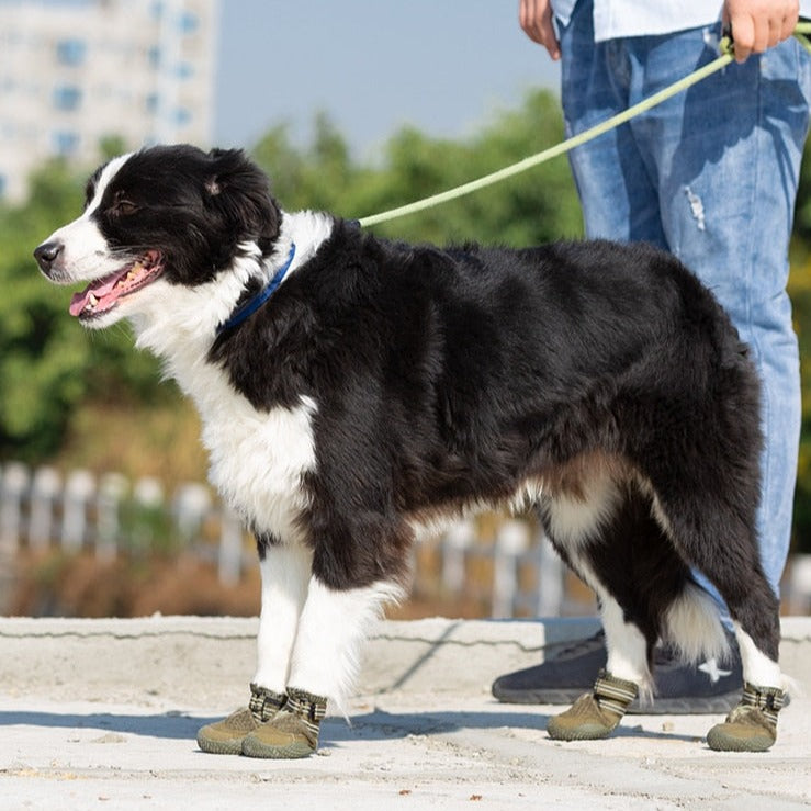 Dog Shoes - Explorer Anti-Slip Outdoor Set of 4