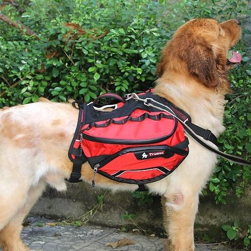 Dog Backpack Harness Deluxe 2 in 1