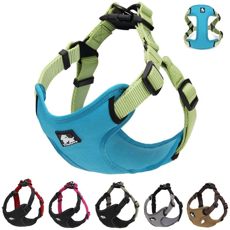 Urban Step In Dog Harness