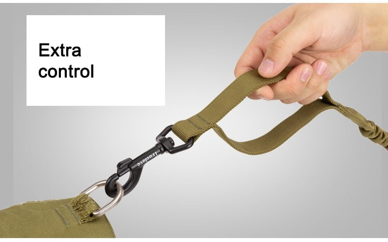 Bungee Dog Leash With Soft Padded Handle