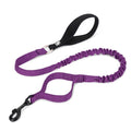 Bungee Dog Leash With Soft Padded Handle