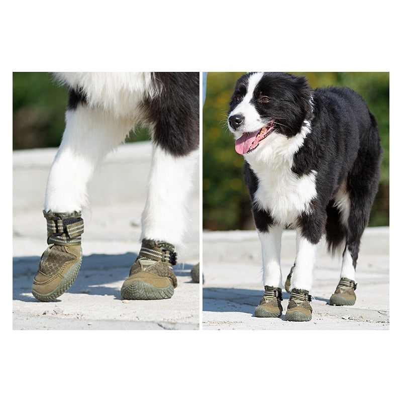 Dog Shoes - Explorer Anti-Slip Outdoor Set of 4