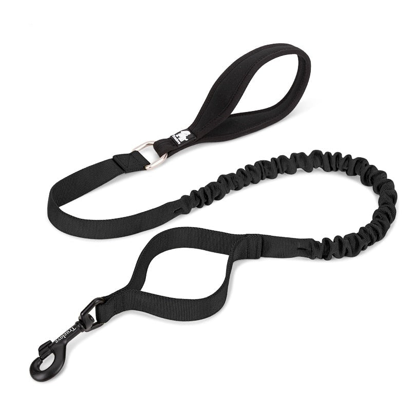 Bungee Dog Leash With Soft Padded Handle