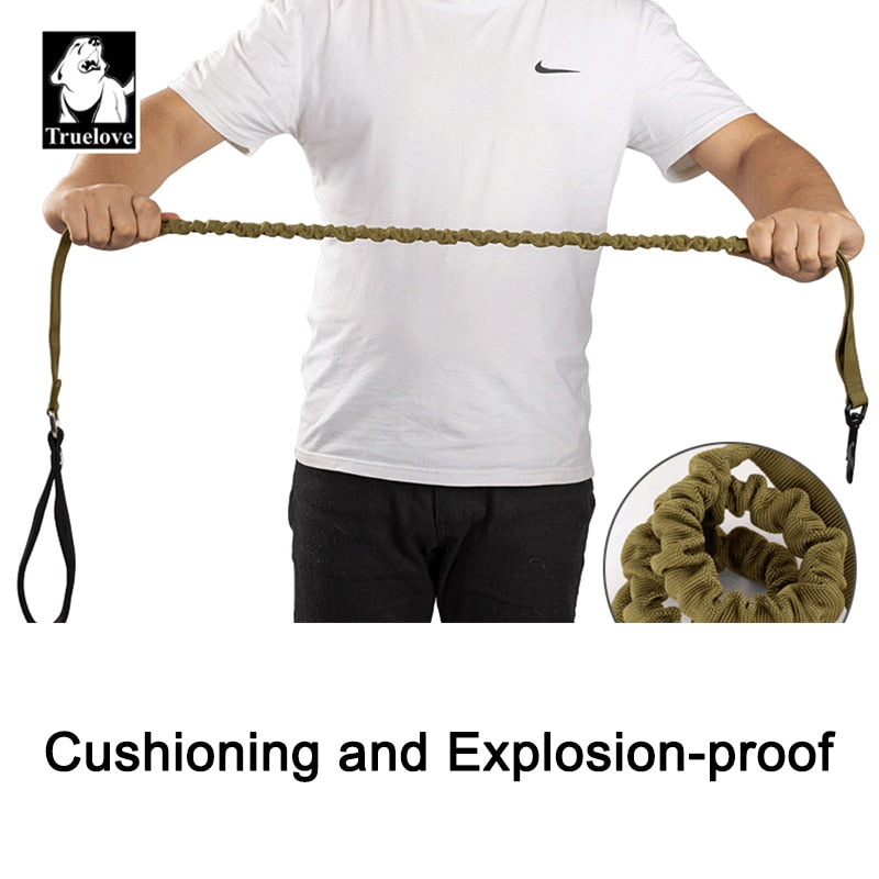 Bungee Dog Leash With Soft Padded Handle