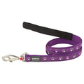 Dog Lead Desert Paws Purple