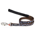 Dog Lead Blue Spots on Brown