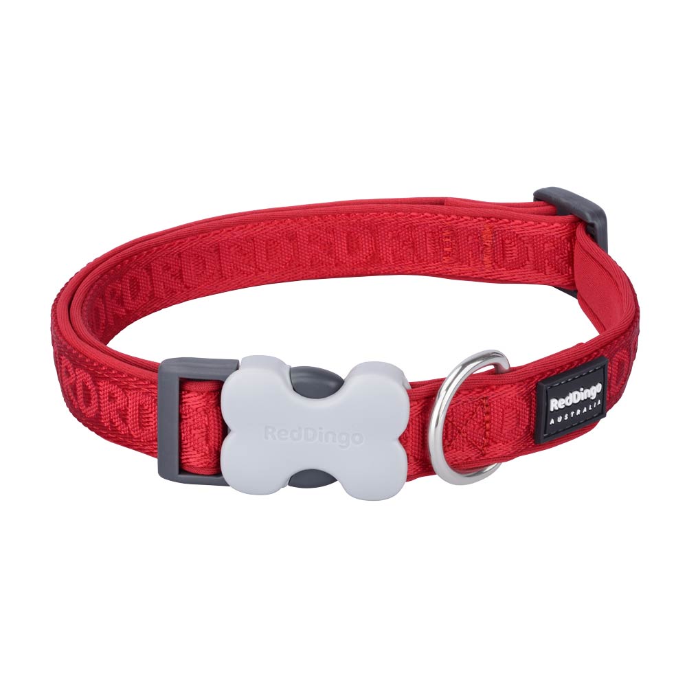 Padded Bucklebone Dog Collar