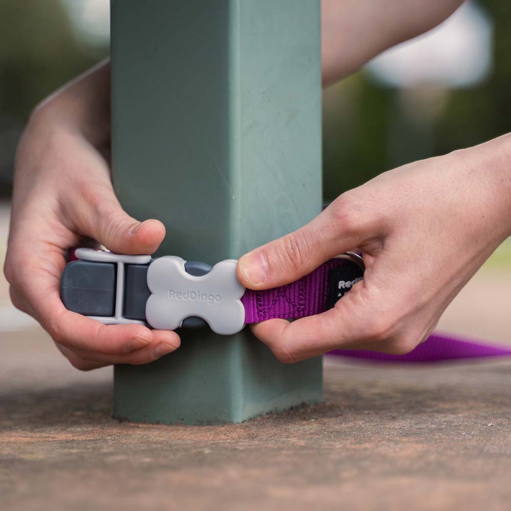 Hands-Free Super Lead