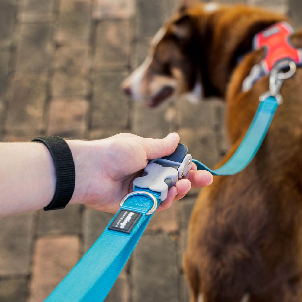 Hands-Free Super Lead