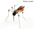 Robotic Insects STEM Kit