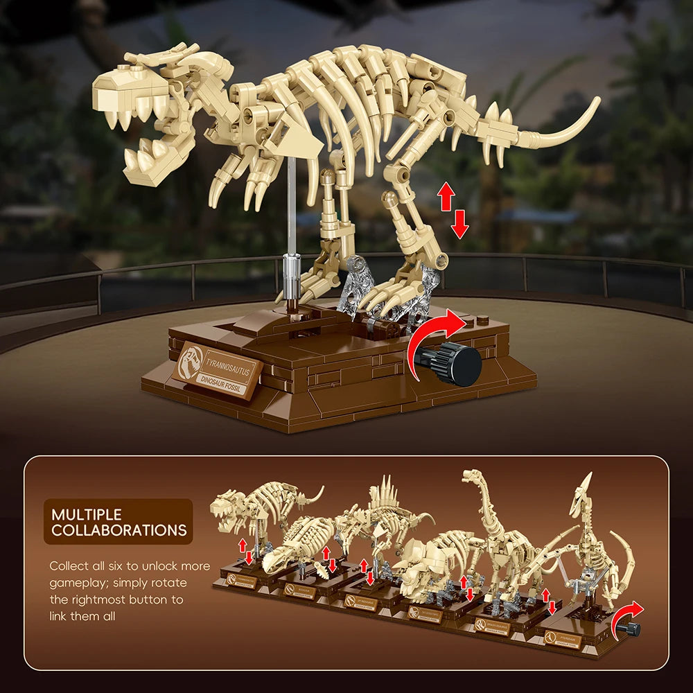 Pterosaur Fossil Building Blocks