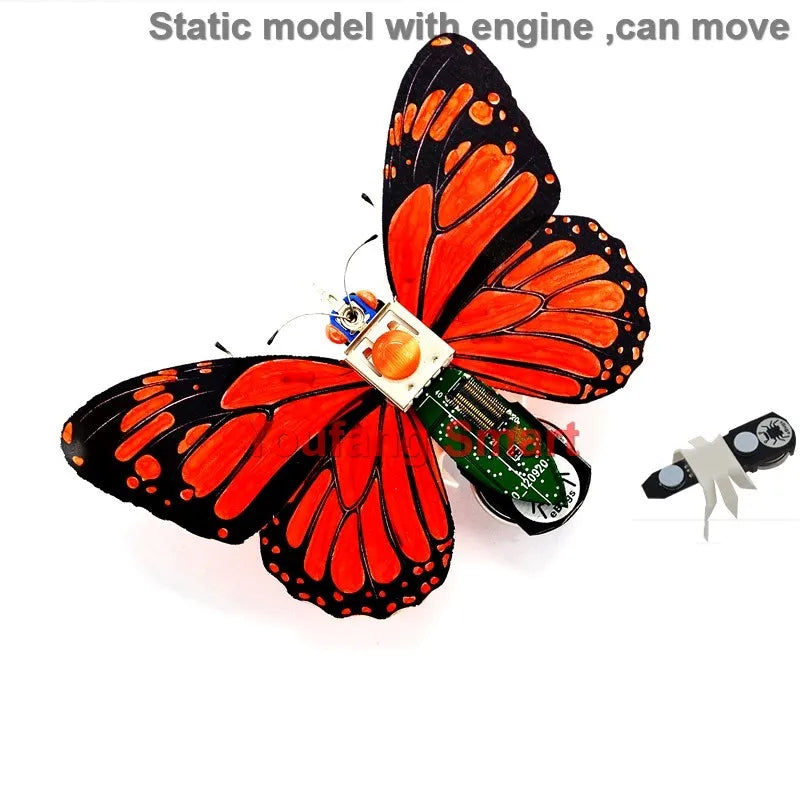 Robotic Insects STEM Kit