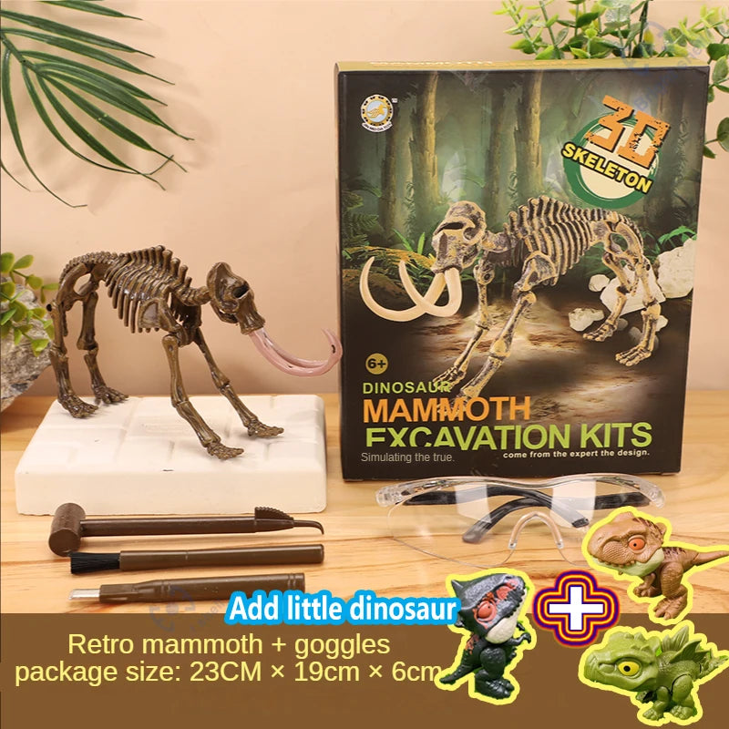Dinosaur Fossil Excavation Kit