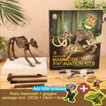 Dinosaur Fossil Excavation Kit