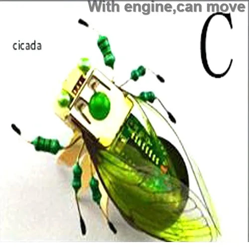 Robotic Insects STEM Kit