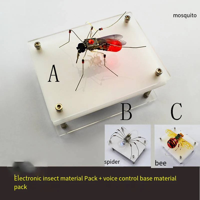 Robotic Insects STEM Kit