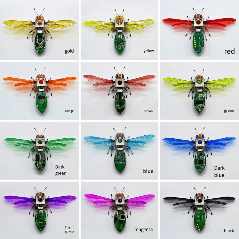 Robotic Insects STEM Kit