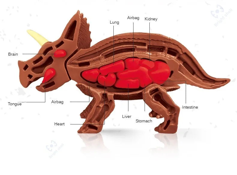 Dinosaur Fossil Excavation Kit
