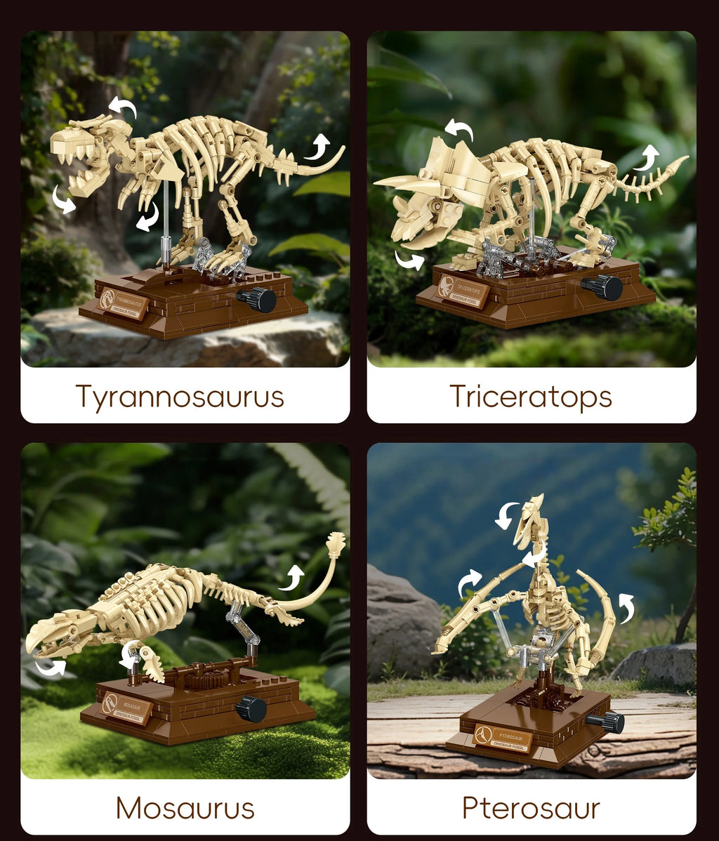 Pterosaur Fossil Building Blocks