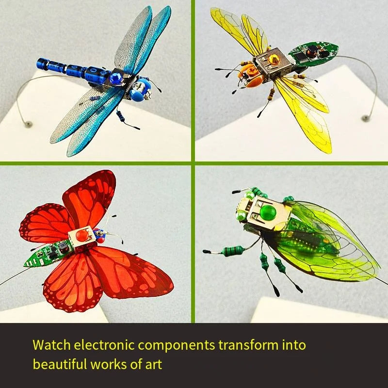 Robotic Insects STEM Kit