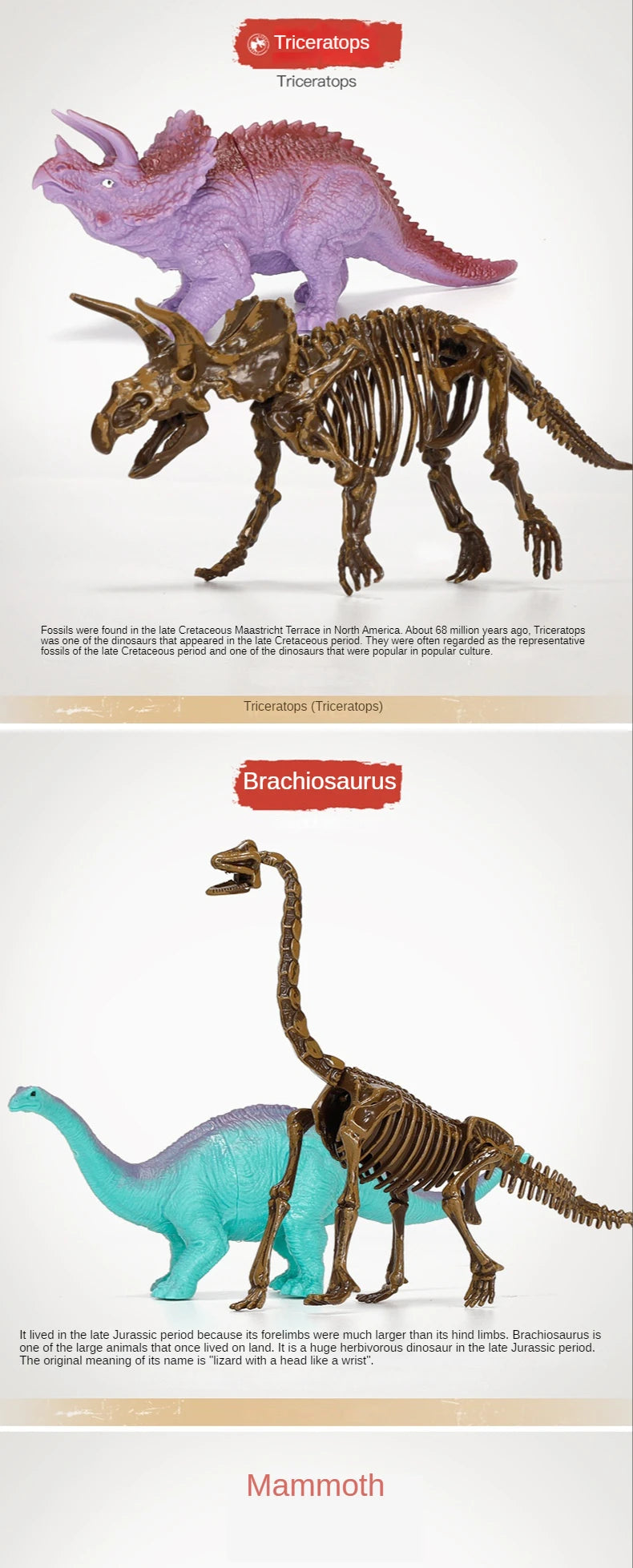 Dinosaur Fossil Excavation Kit