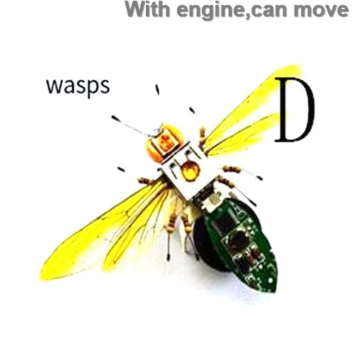 Robotic Insects STEM Kit