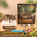 Dinosaur Fossil Excavation Kit