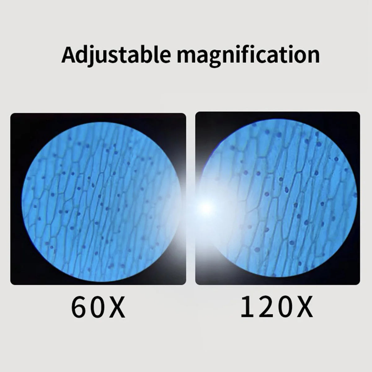 60-120x Pocket Microscope