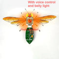 Robotic Insects STEM Kit