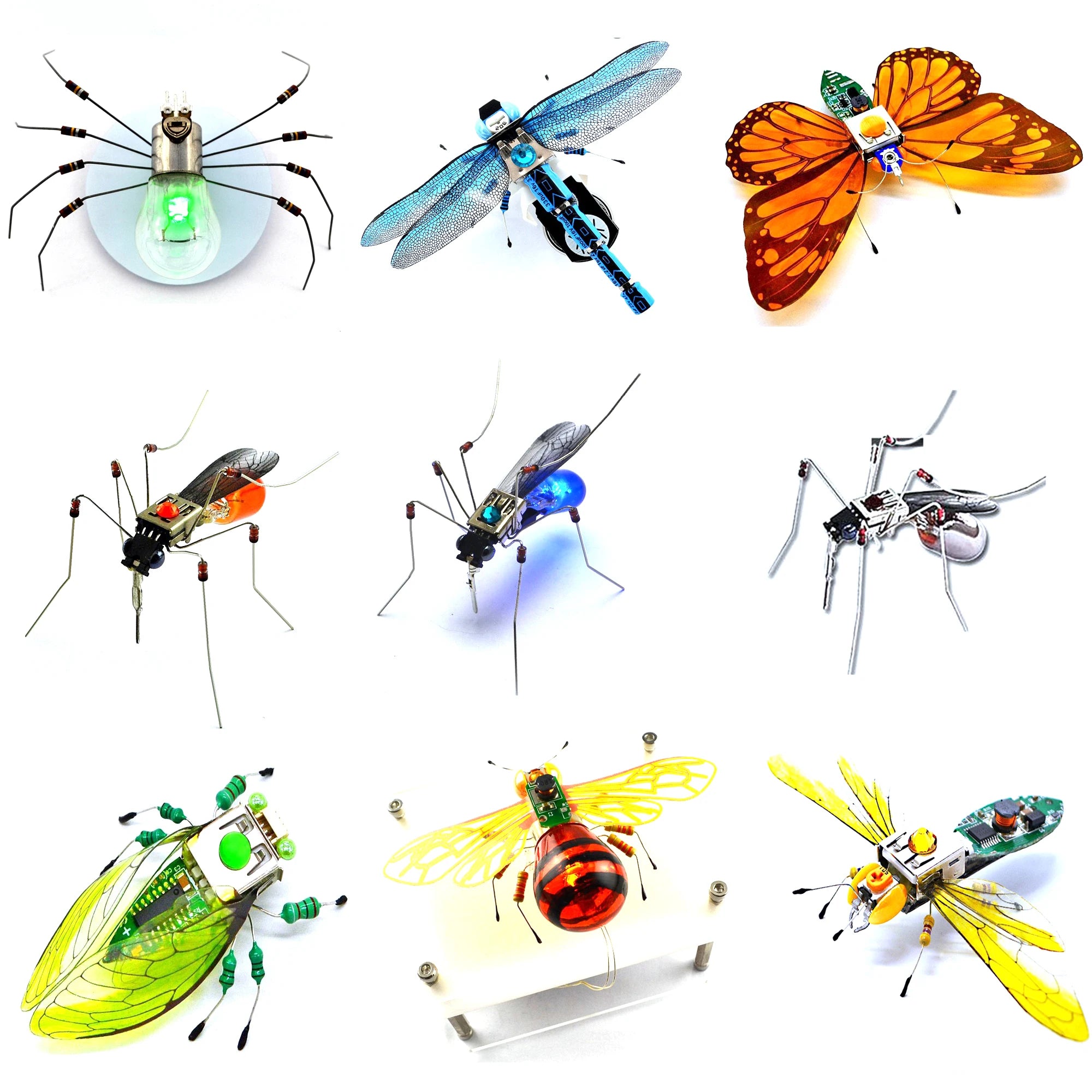 Robotic Insects STEM Kit