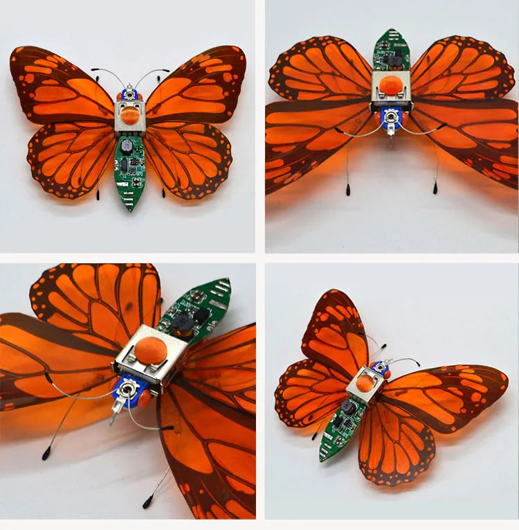 Robotic Insects STEM Kit