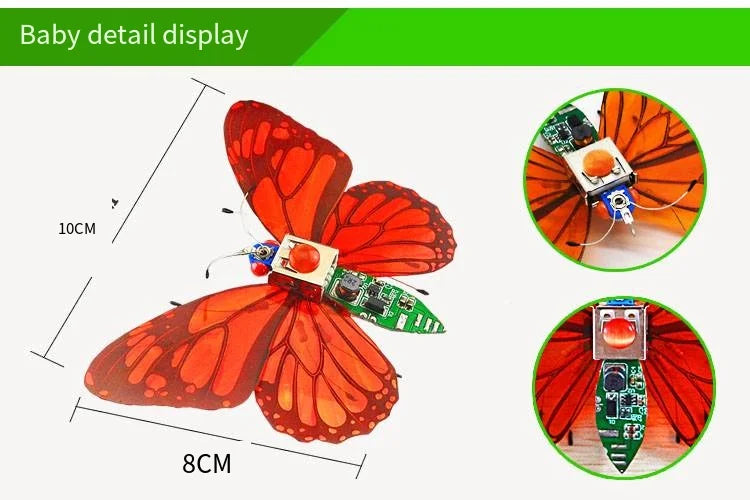Robotic Insects STEM Kit