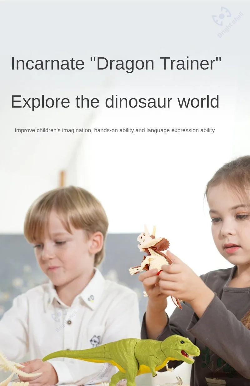 Dinosaur Fossil Excavation Kit