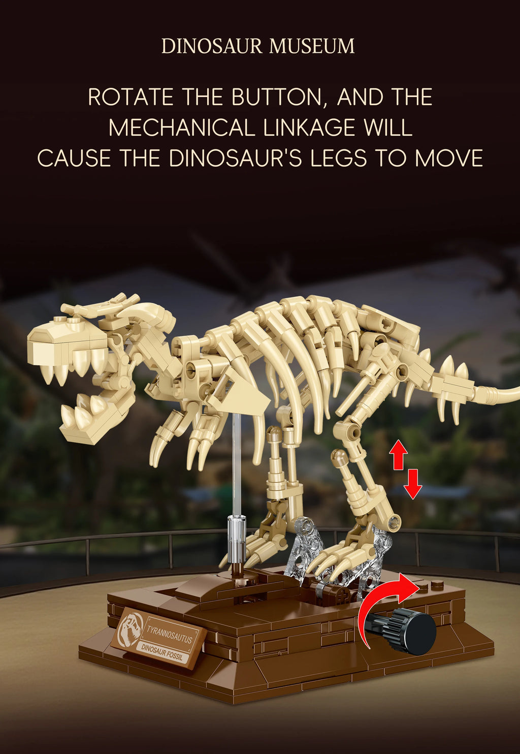 Pterosaur Fossil Building Blocks