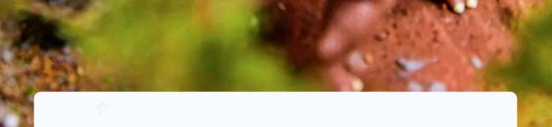 Dinosaur Fossil Excavation Kit